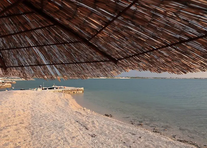 Alan 3 Apartmán Vrsi